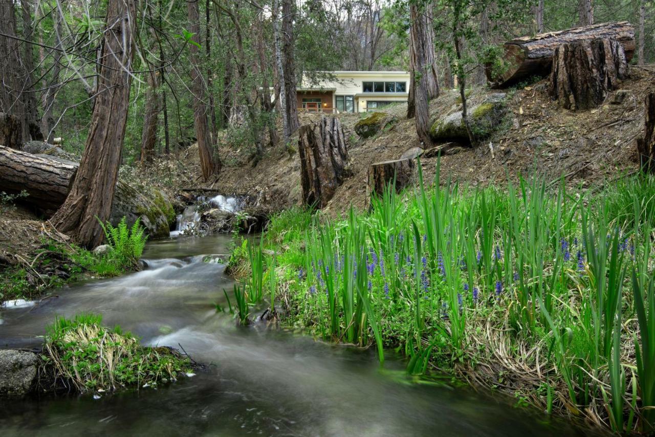Willa 11R Spring Meadow Retreat Wawona Zewnętrze zdjęcie